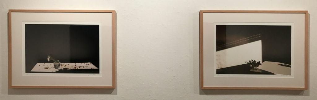 Ignacio Tovar