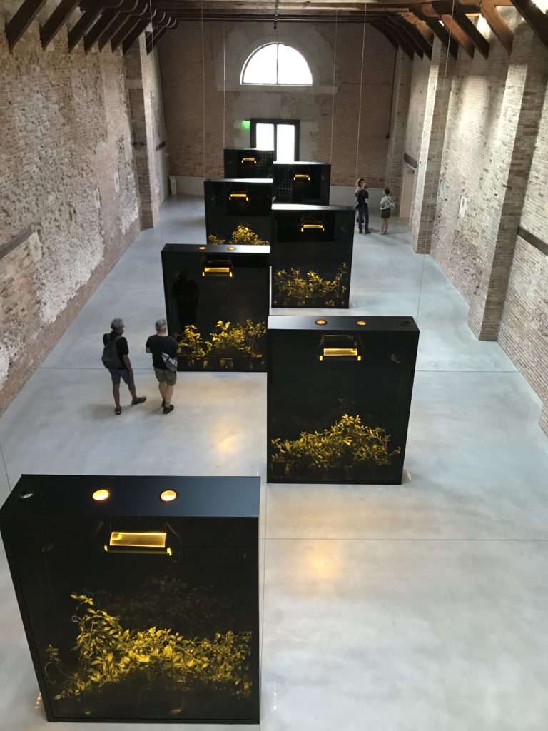 'Luogo e segni'